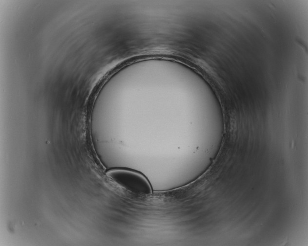 X0000101671364200807241430