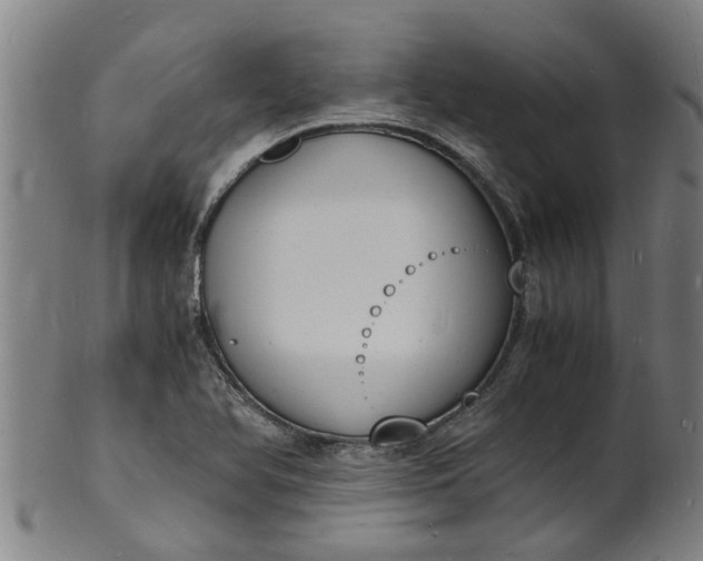 X0000101671366200807241430