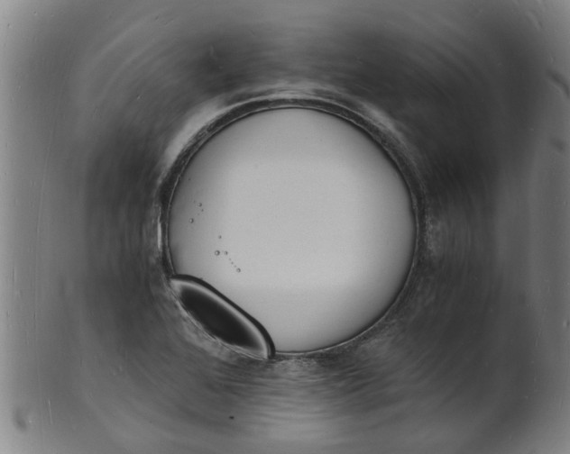 X0000101671368200807241430