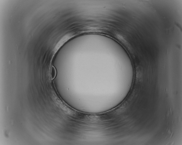 X0000101671370200807241430