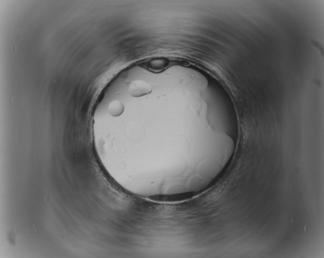 X0000101671371200807241430
