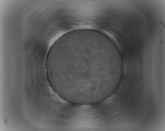 X0000101671373200807241430