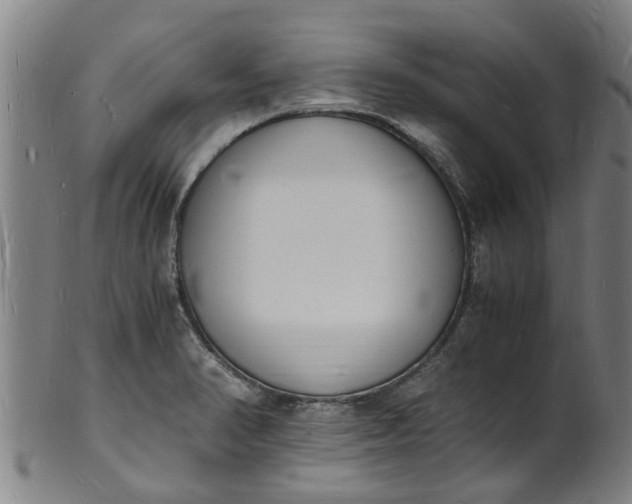 X0000101671374200807241430