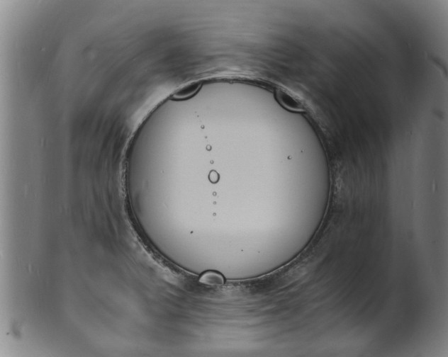 X0000101671375200807241430