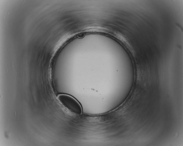 X0000101671376200807241430
