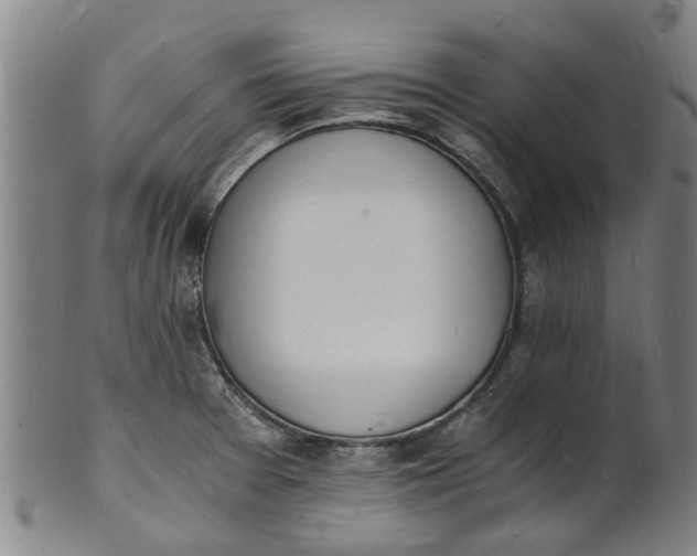X0000101671377200807241430