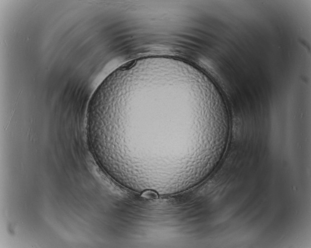 X0000101671378200807241430