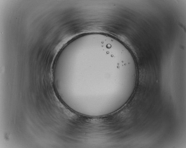 X0000101671380200807241430