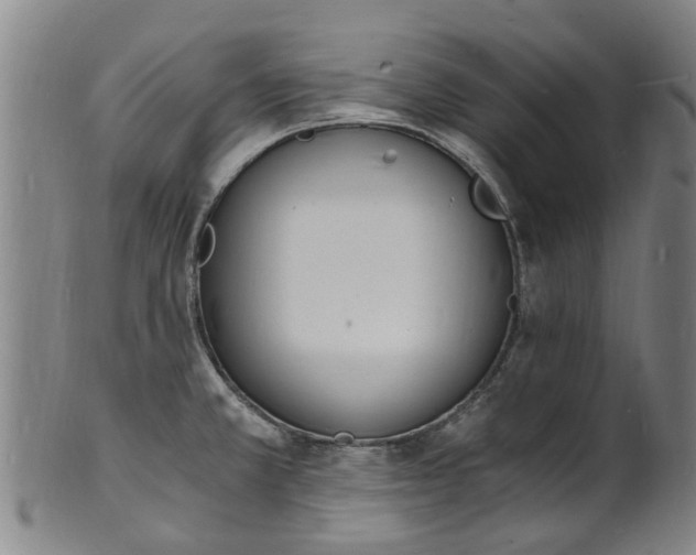 X0000101671381200807241430