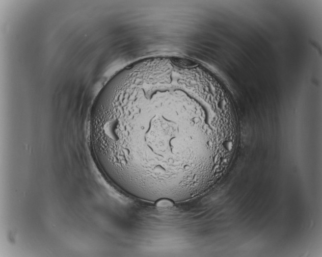 X0000101671383200807241430