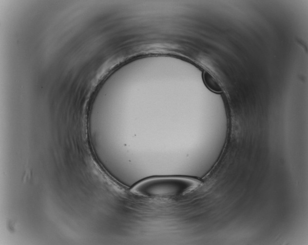 X0000101671384200807241430