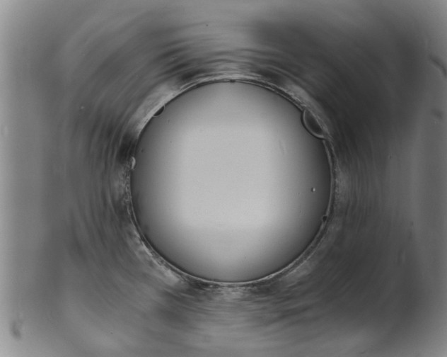 X0000101671385200807241430
