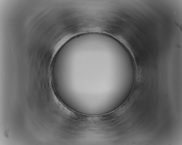X0000101671389200807241430