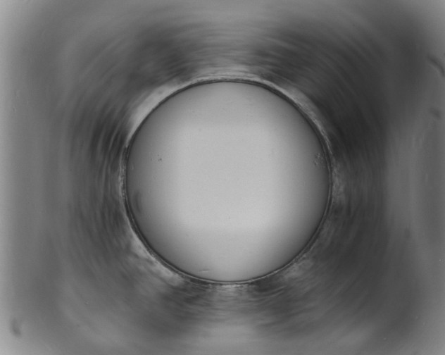 X0000101671390200807241430
