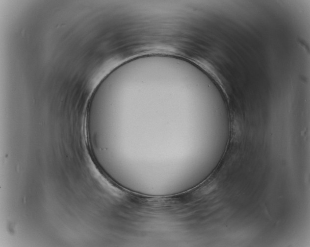 X0000101671391200807241430