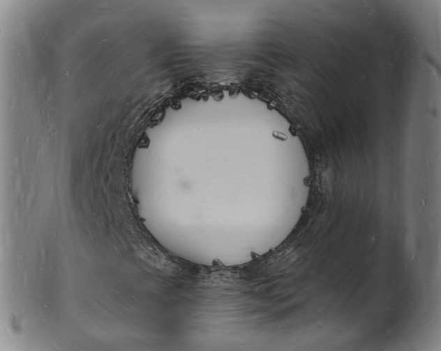 X0000101671393200807241429