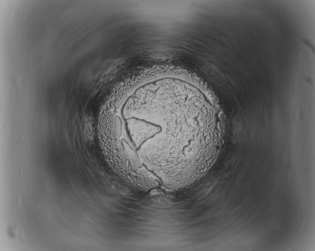 X0000101671394200807241429