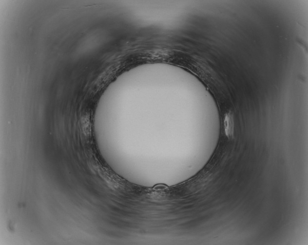 X0000101671395200807241429