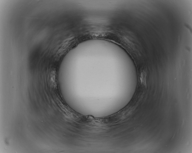 X0000101671396200807241429