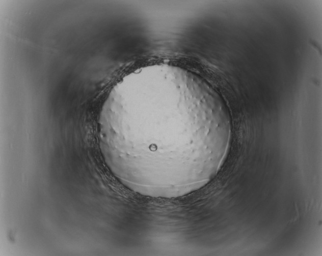 X0000101671397200807241429