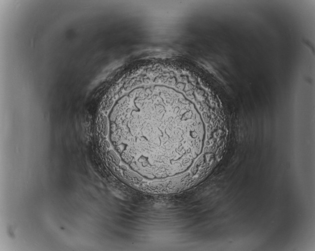 X0000101671399200807241429
