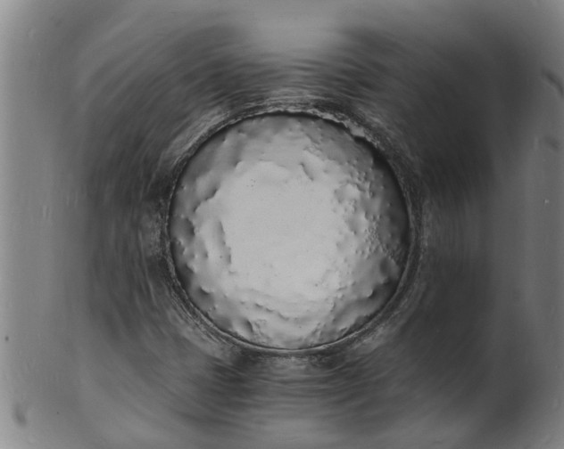 X0000101671401200807241429