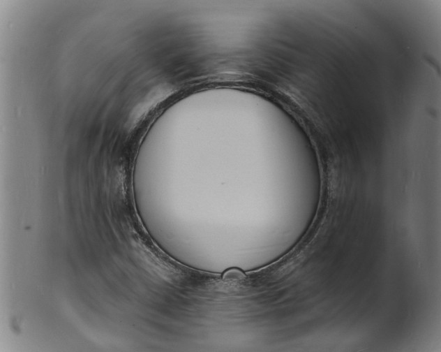 X0000101671402200807241430