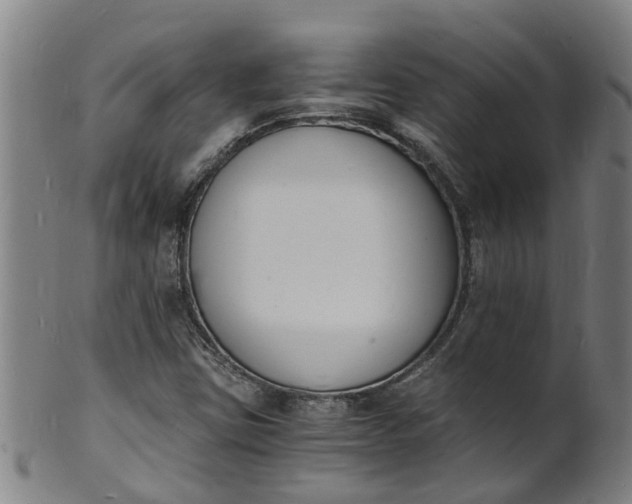 X0000101671403200807241430