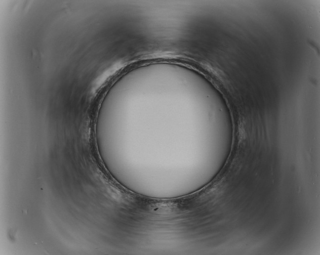 X0000101671406200807241430