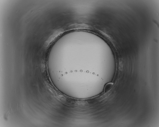 X0000101671407200807241430