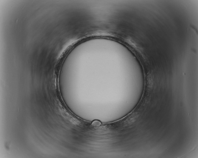 X0000101671408200807241430