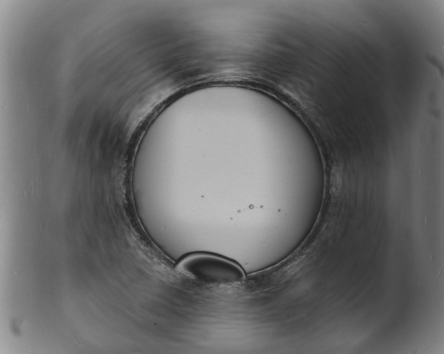 X0000101671410200807241430