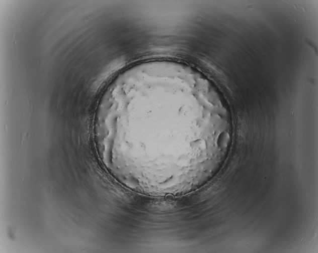 X0000101671411200807241430