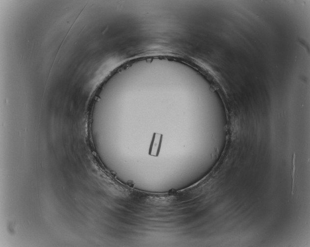 X0000101671415200807241430