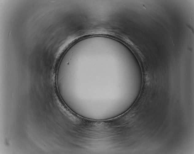 X0000101671416200807241430