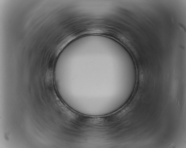 X0000101671417200807241430