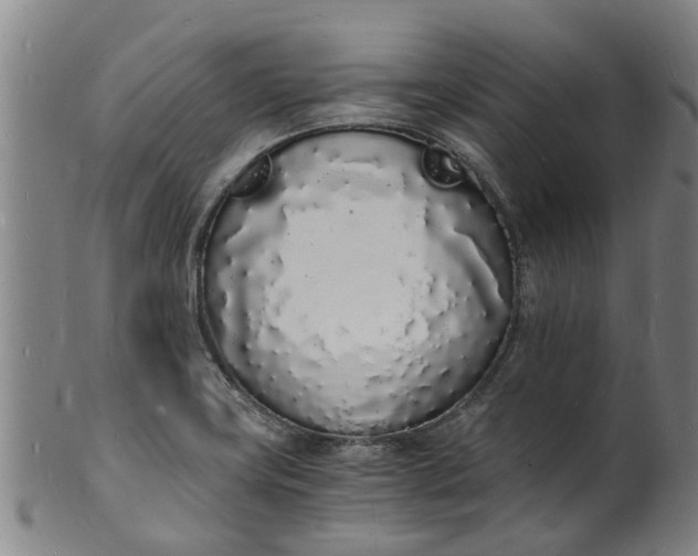 X0000101671419200807241430