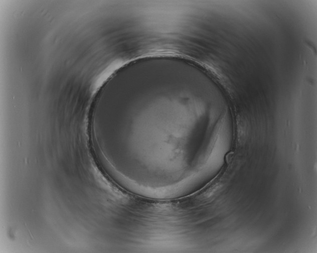 X0000101671422200807241430