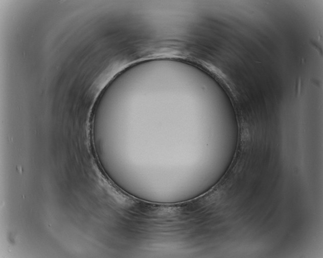 X0000101671423200807241430
