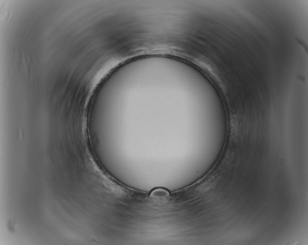 X0000101671424200807241430