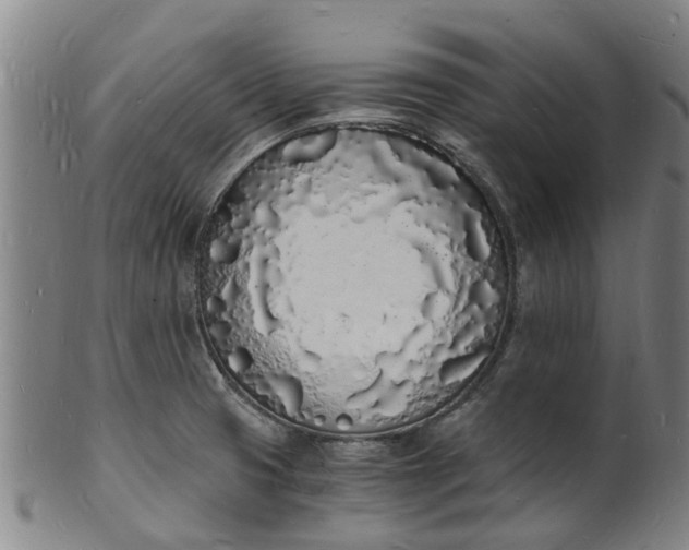 X0000101671425200807241430