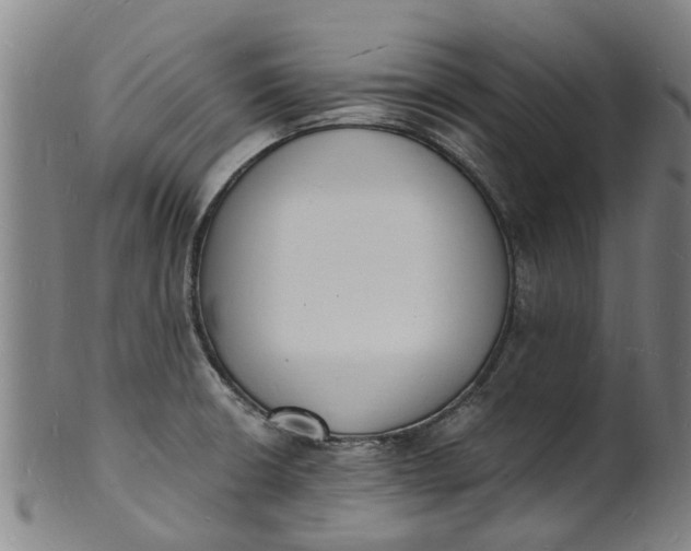 X0000101671426200807241430
