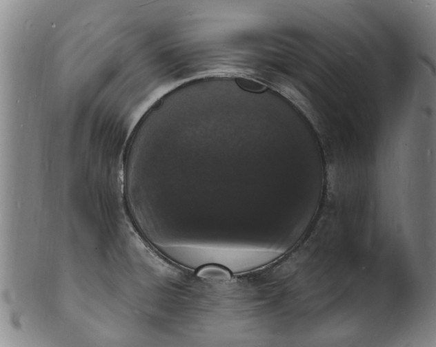 X0000101671428200807241430
