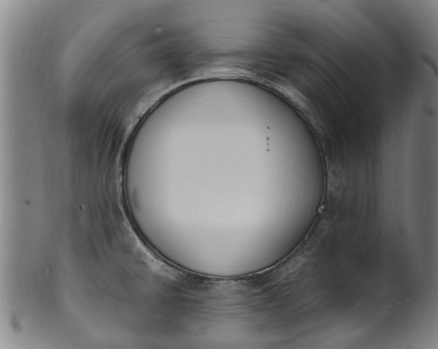 X0000101671430200807241430