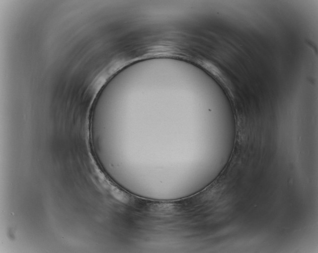 X0000101671431200807241430