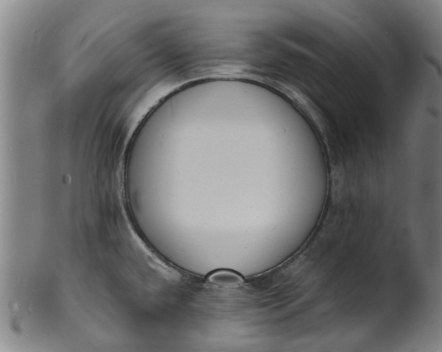 X0000101671432200807241430