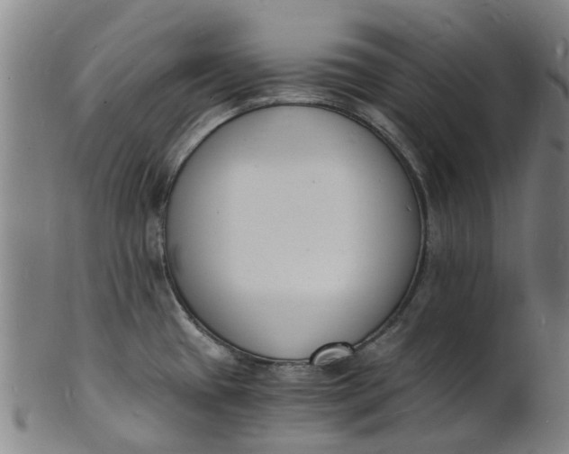 X0000101671433200807241430