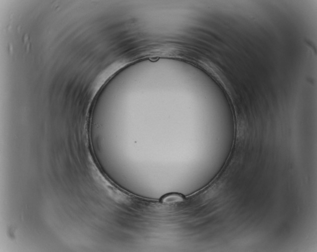 X0000101671434200807241430