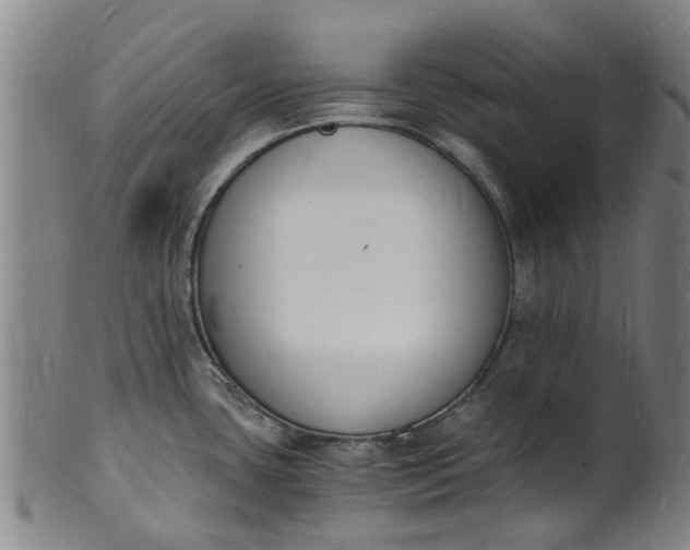 X0000101671435200807241430