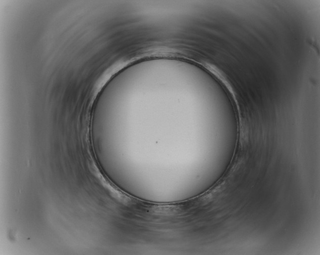 X0000101671437200807241430